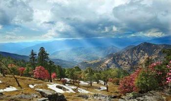 Discover The Ultimate Chopta Tour Package